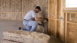 Types of Insulation We Offer in Liberty City, TX